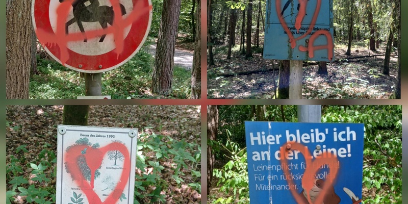 Bild Zeugen gesucht!