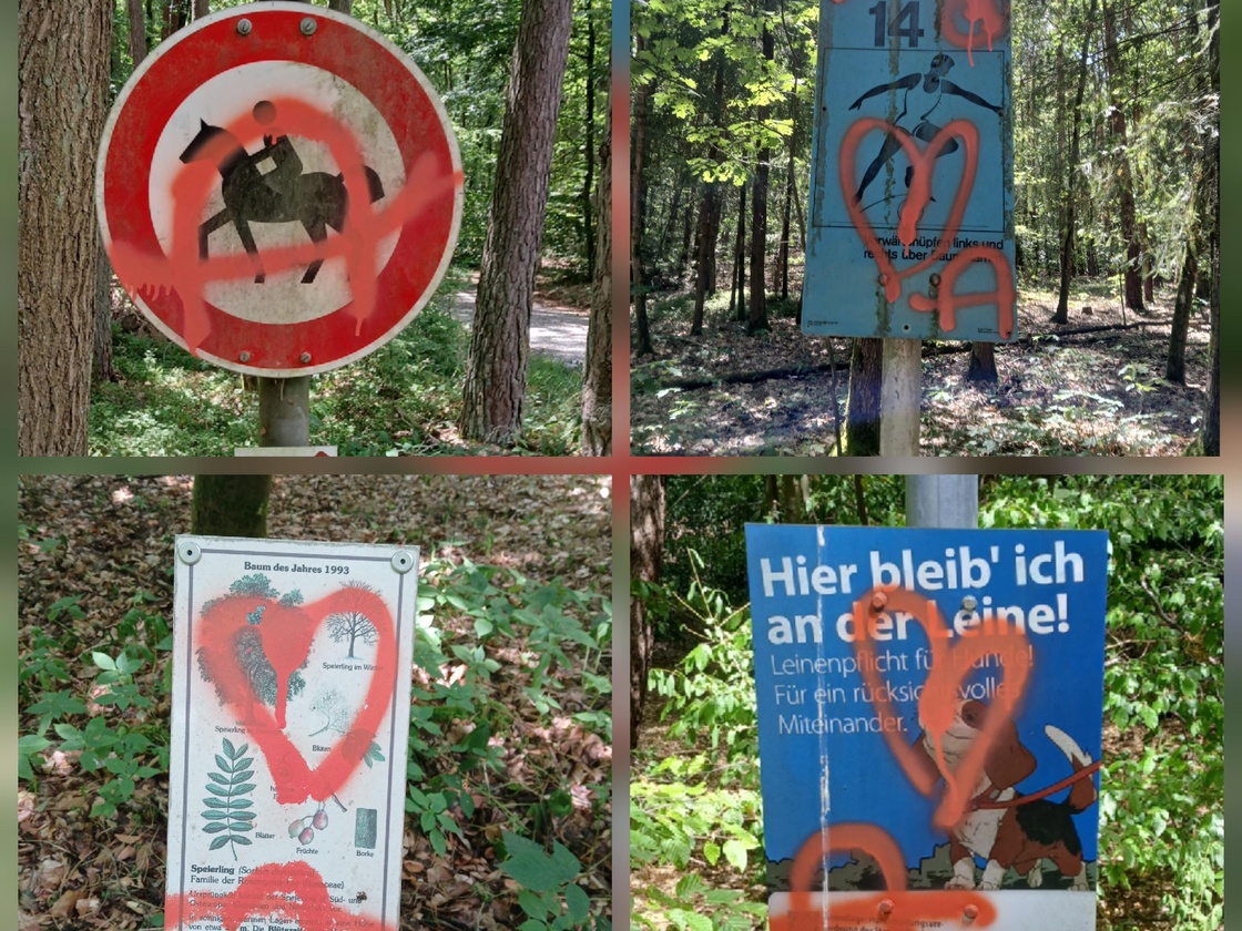 Bild Zeugen gesucht!